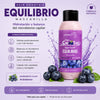 HAIR SMOOTHIES - EQUILIBRIO MORADO
